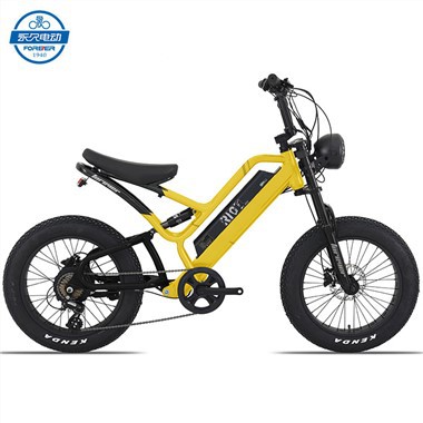 অবসর ইবাইক